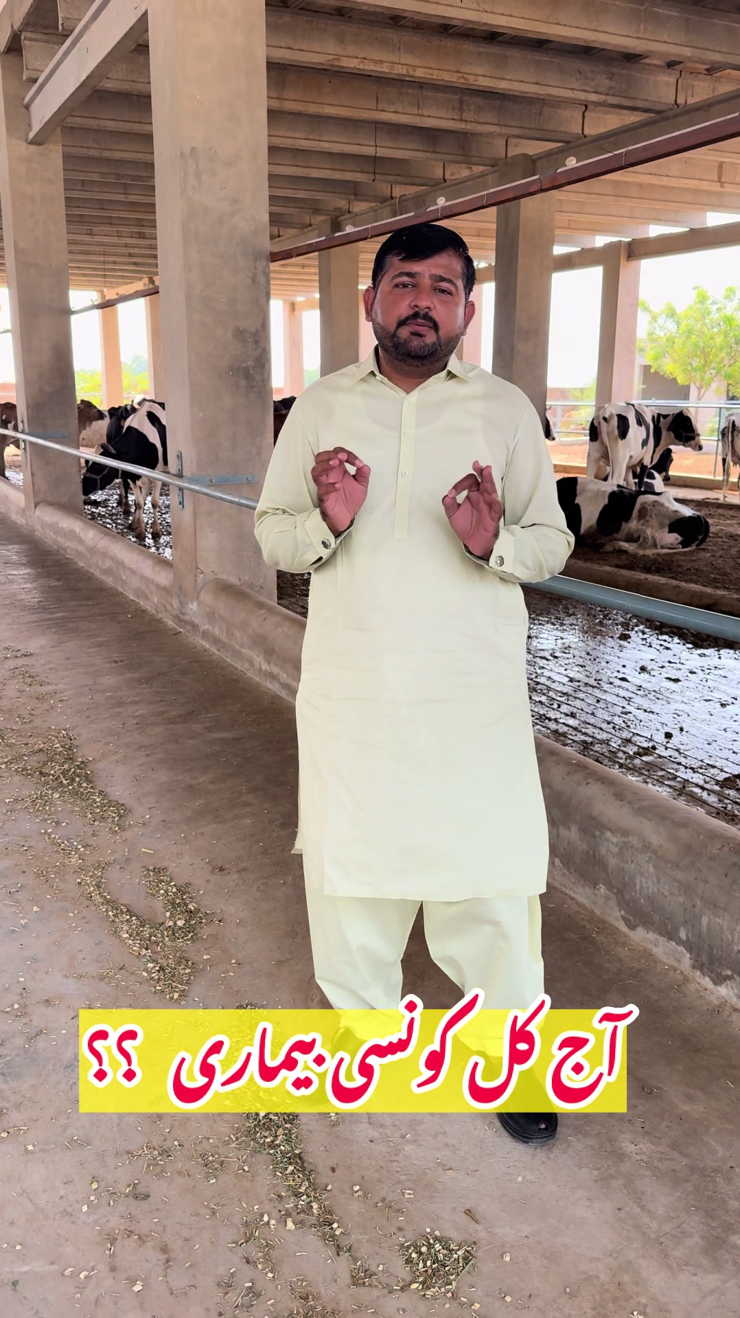 @vet.dr.mohsin4800