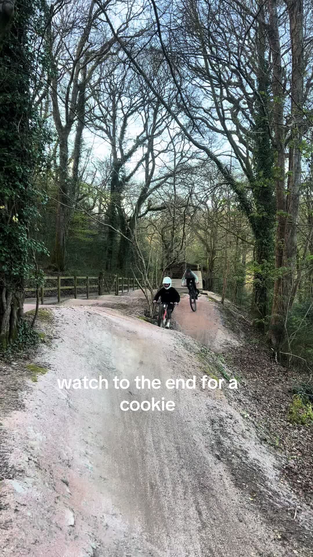 @tobyy🌲