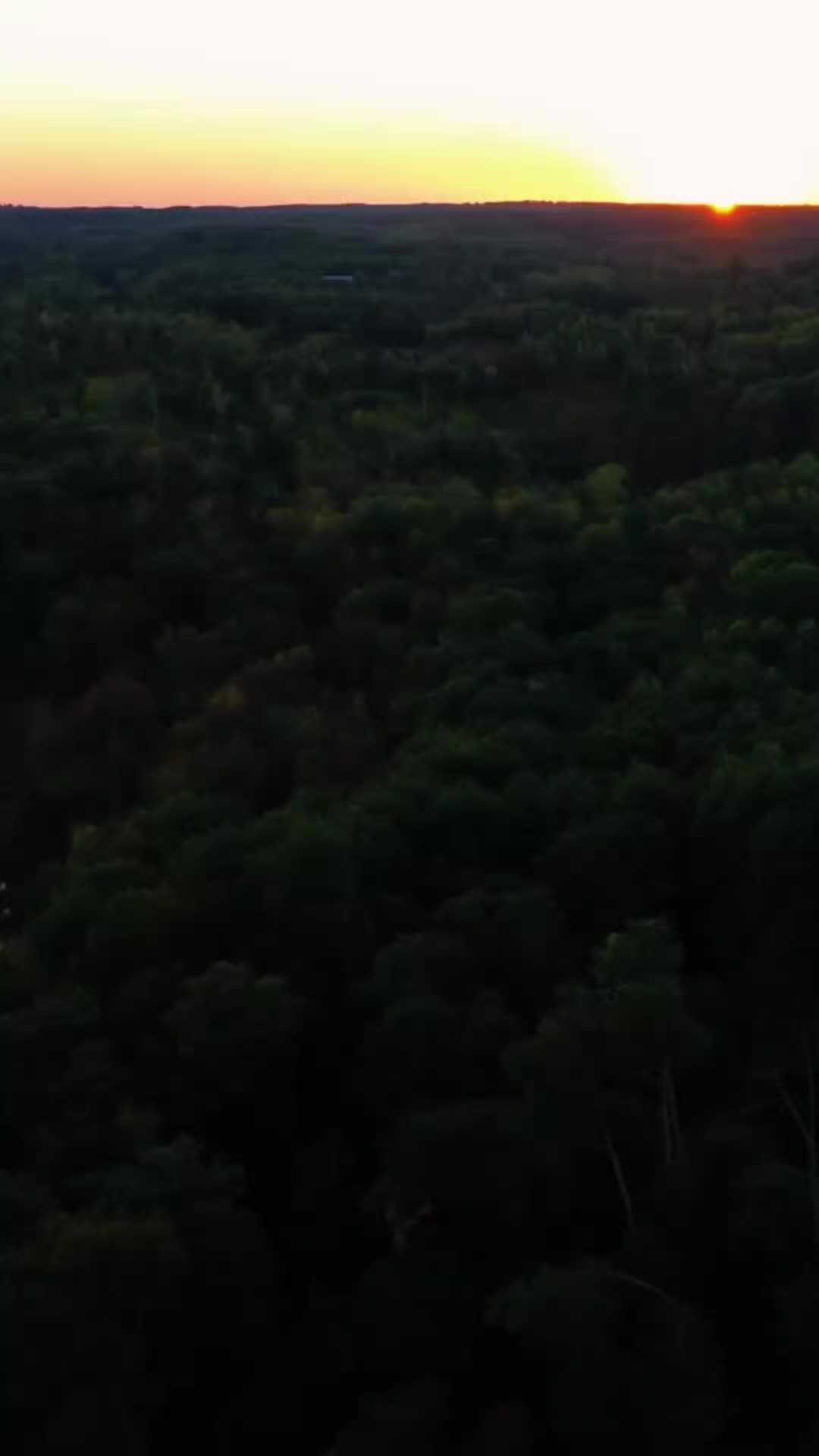 @emperorofeurope.tufflaiu