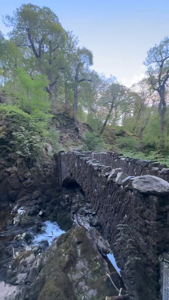 @Syeda🇬🇧🇵🇰