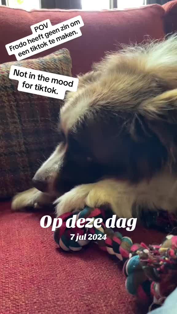 @Veveke 🇧🇪