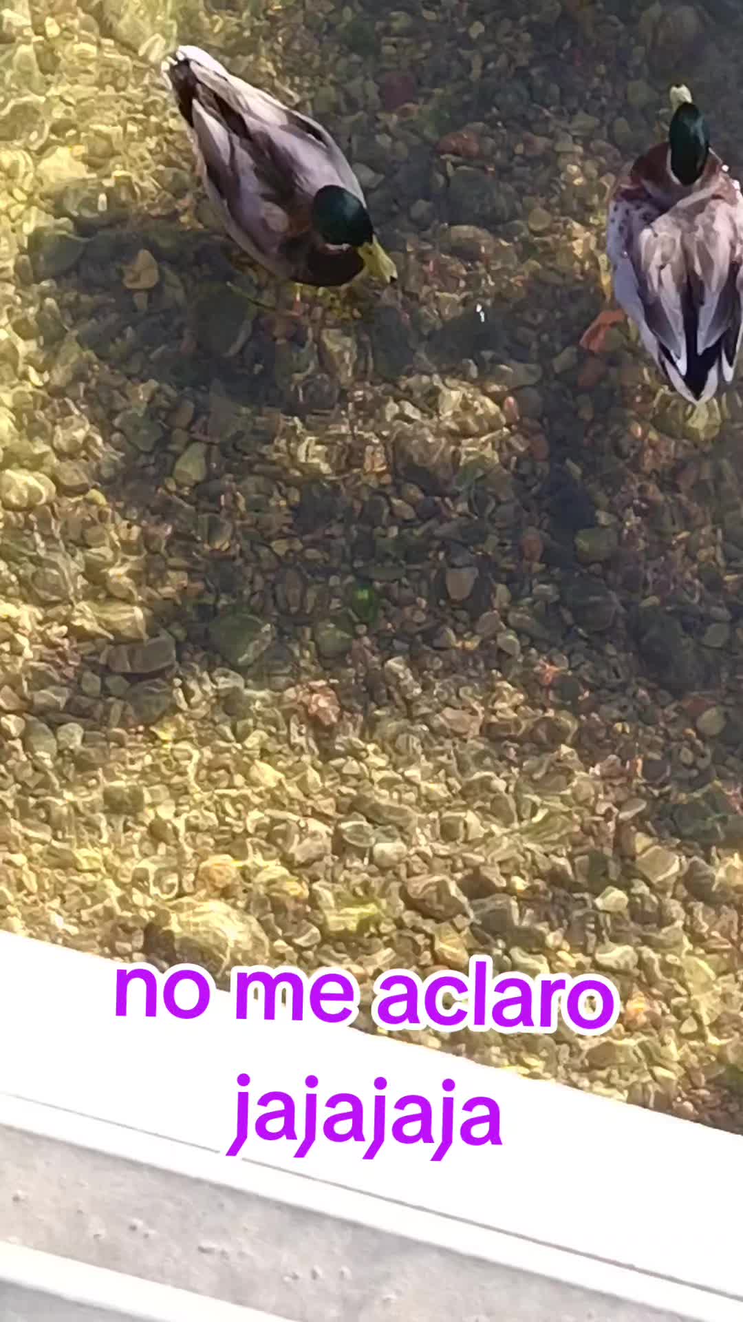 @paulette😘🥰🌈