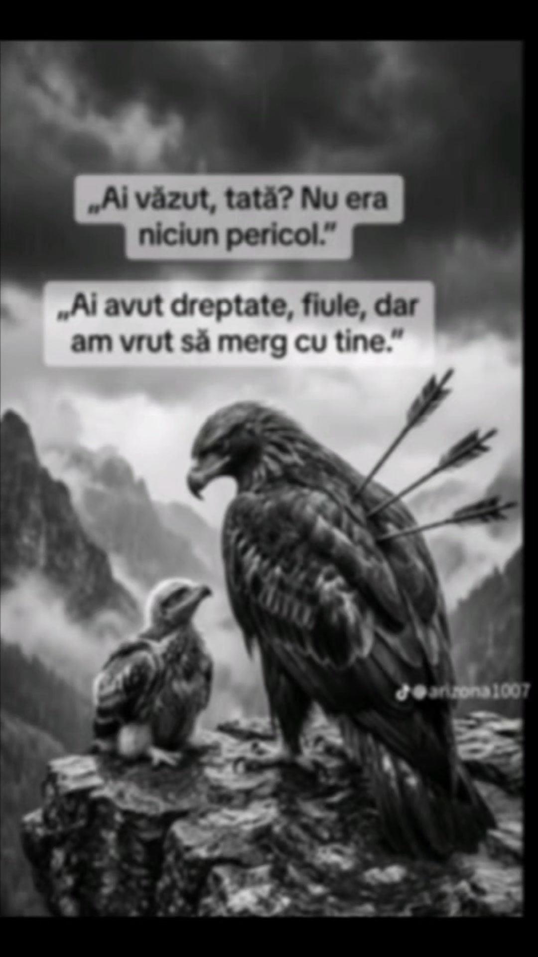 @Alin Cristea