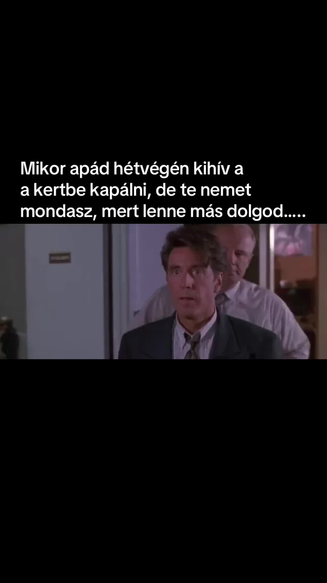 @buczivok