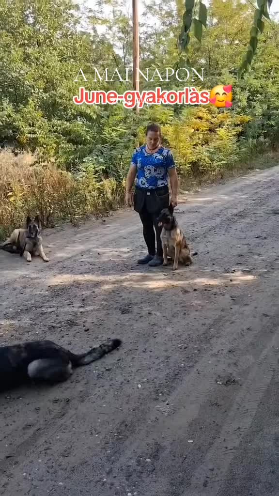 @Viki-Kutyakozmetika Másképp