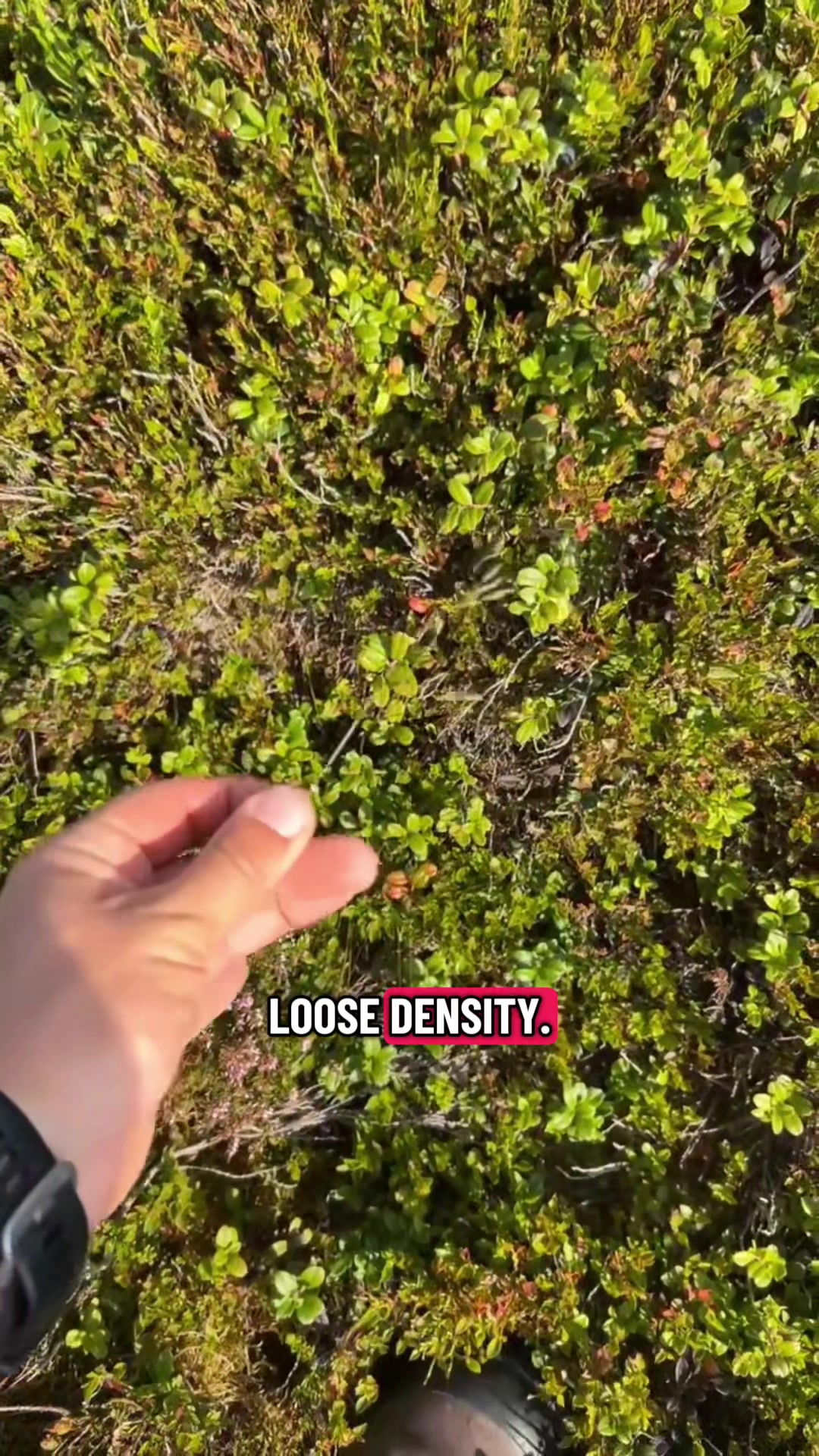 @Sam Bentley | Ecology