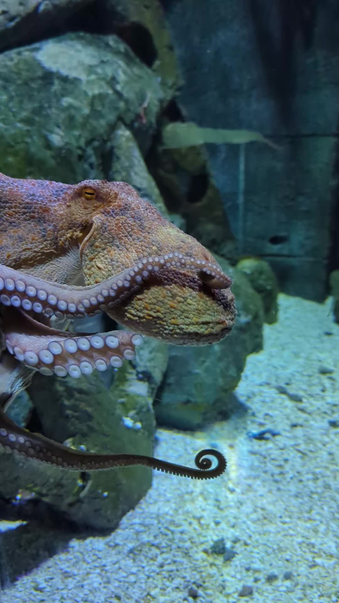 @BristolAquarium