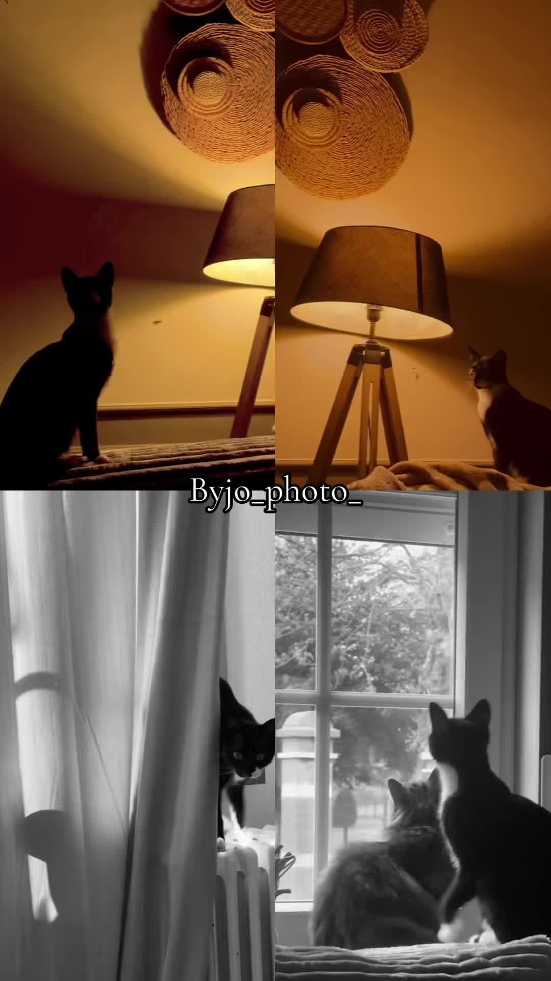 @byjo_photo_