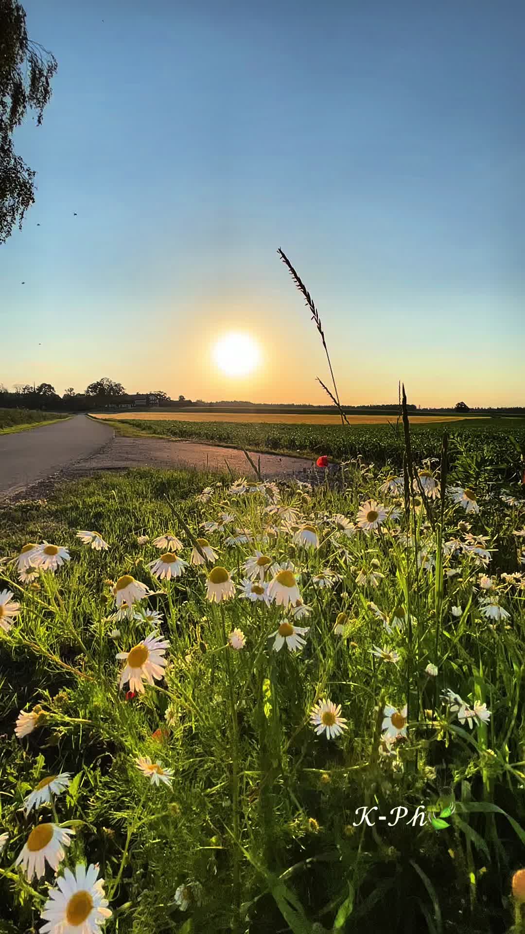 @kolibri_photography