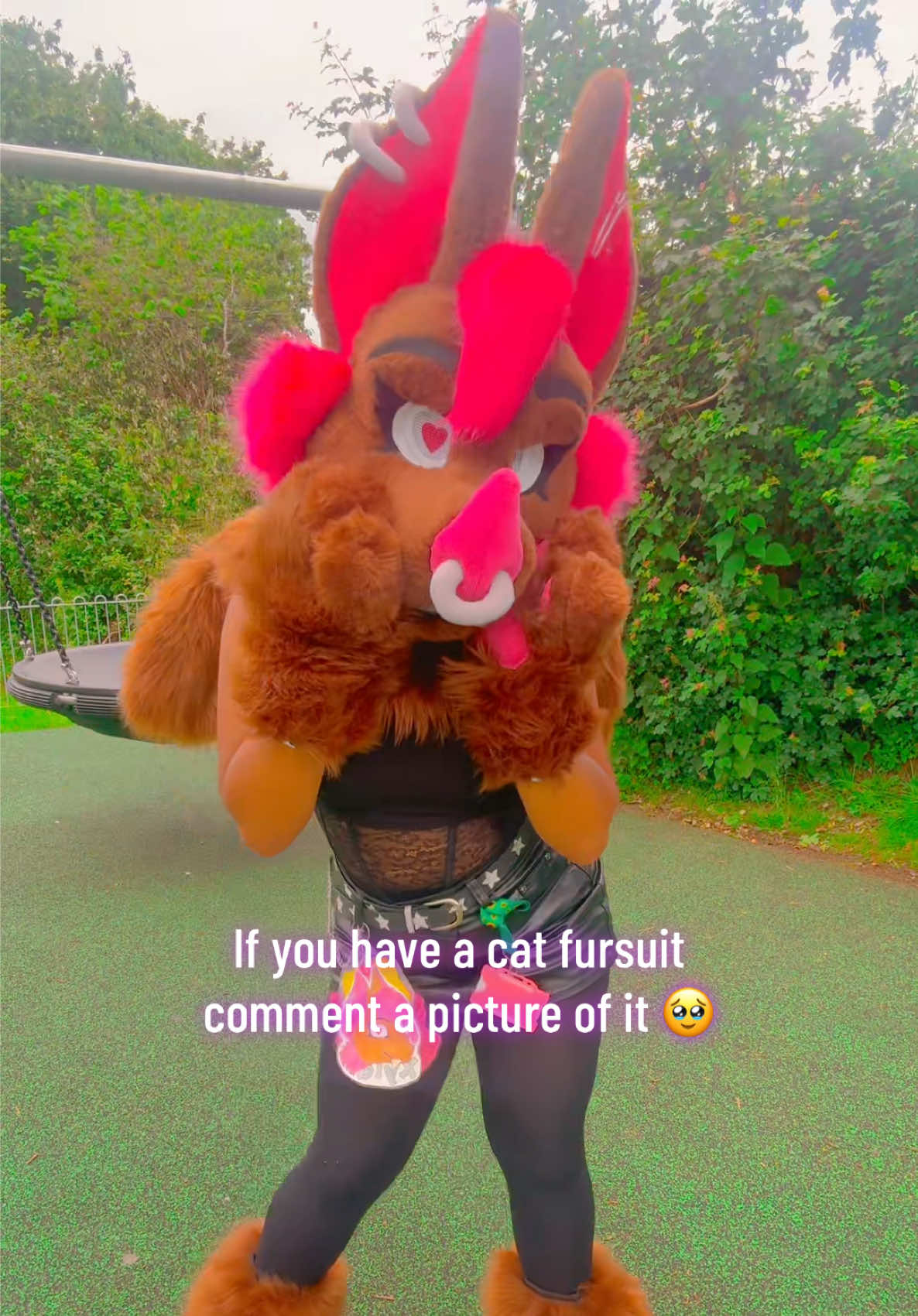 @★彡 ~ paws! ~ ★彡