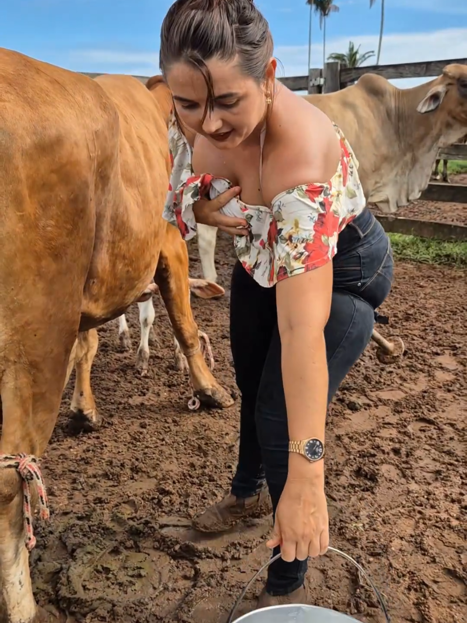 @Ammy Anna ♥️