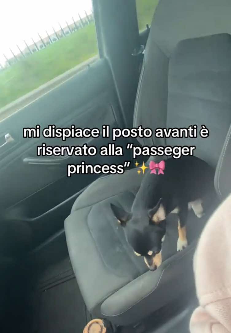 @Elena D&rsquo;Amico