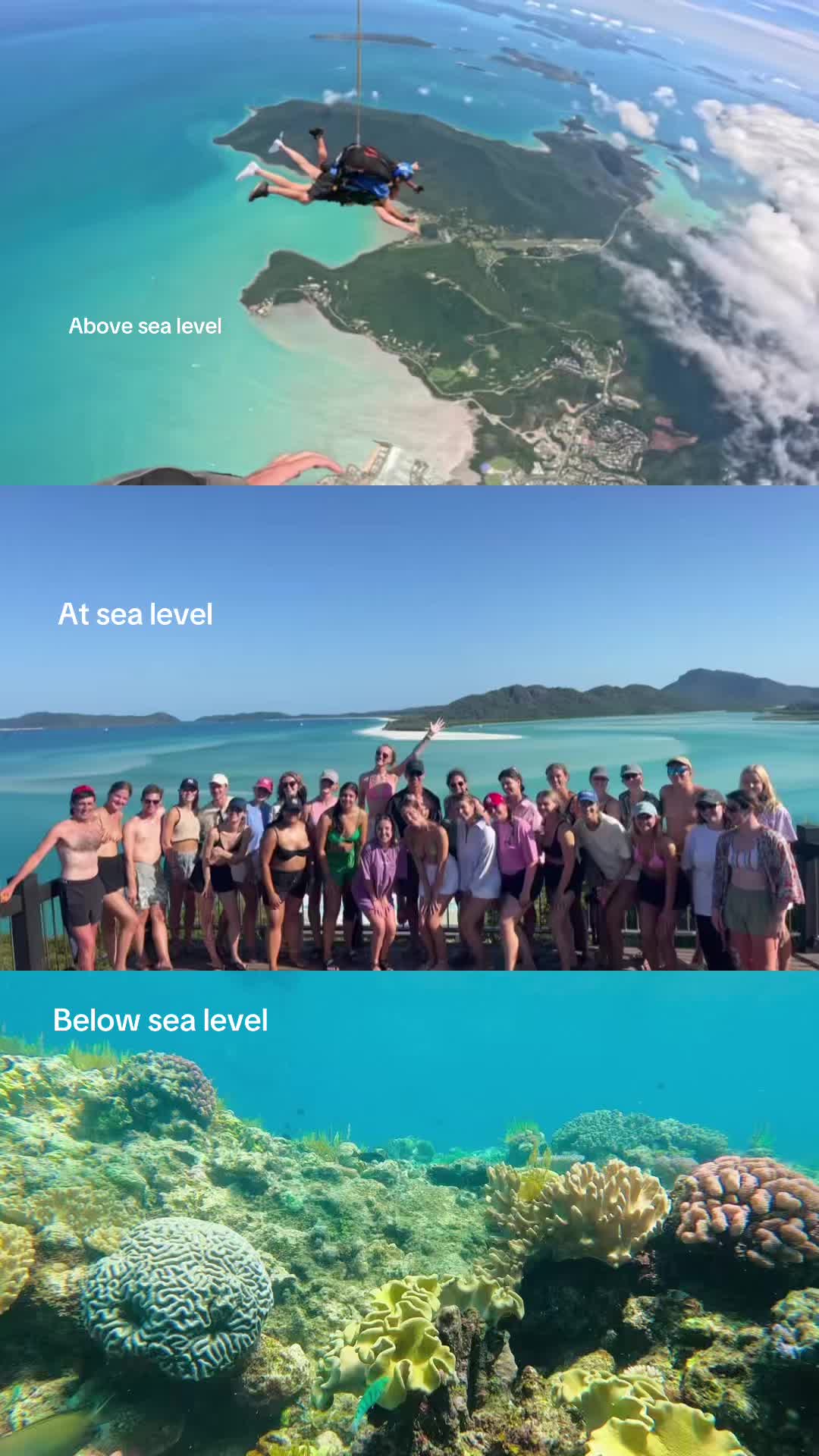 @ULTIMATE Travel