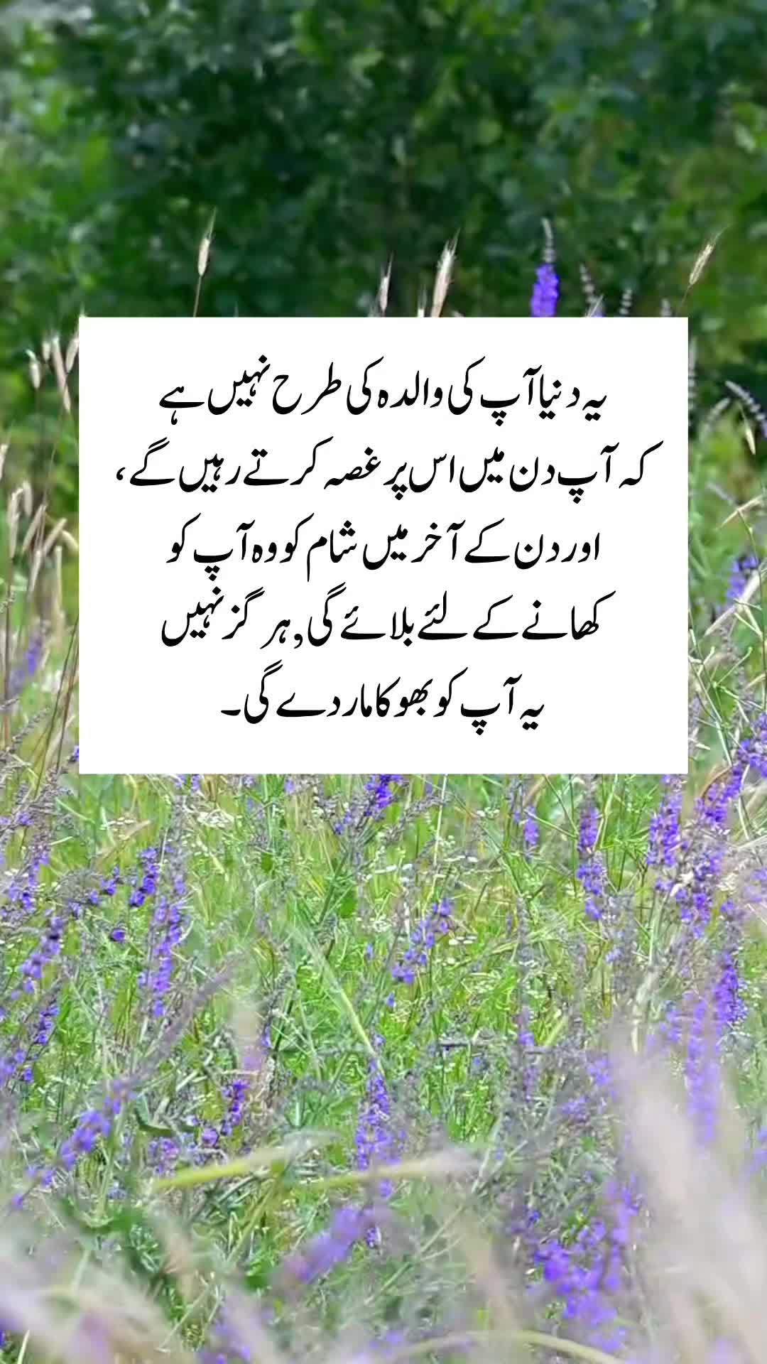 @Kainat Quotes