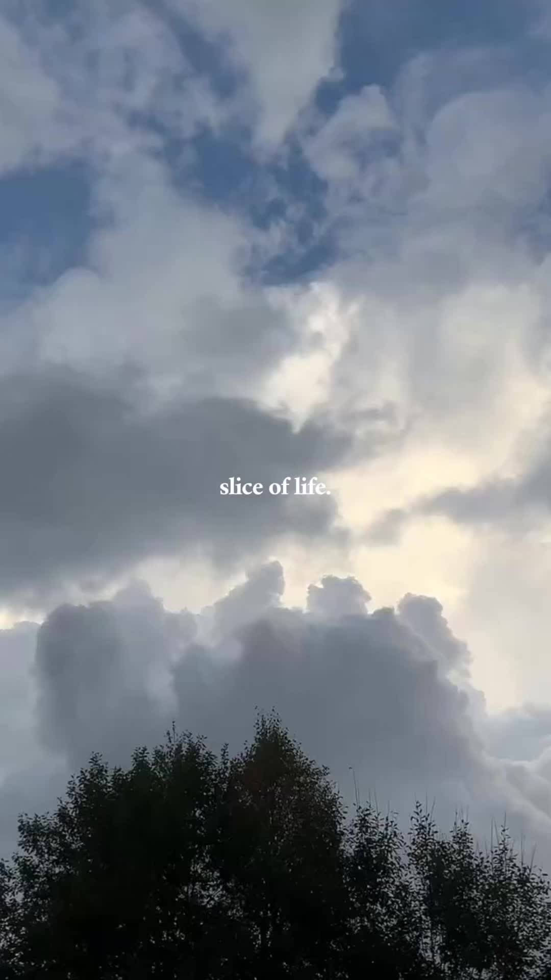 @From the woods