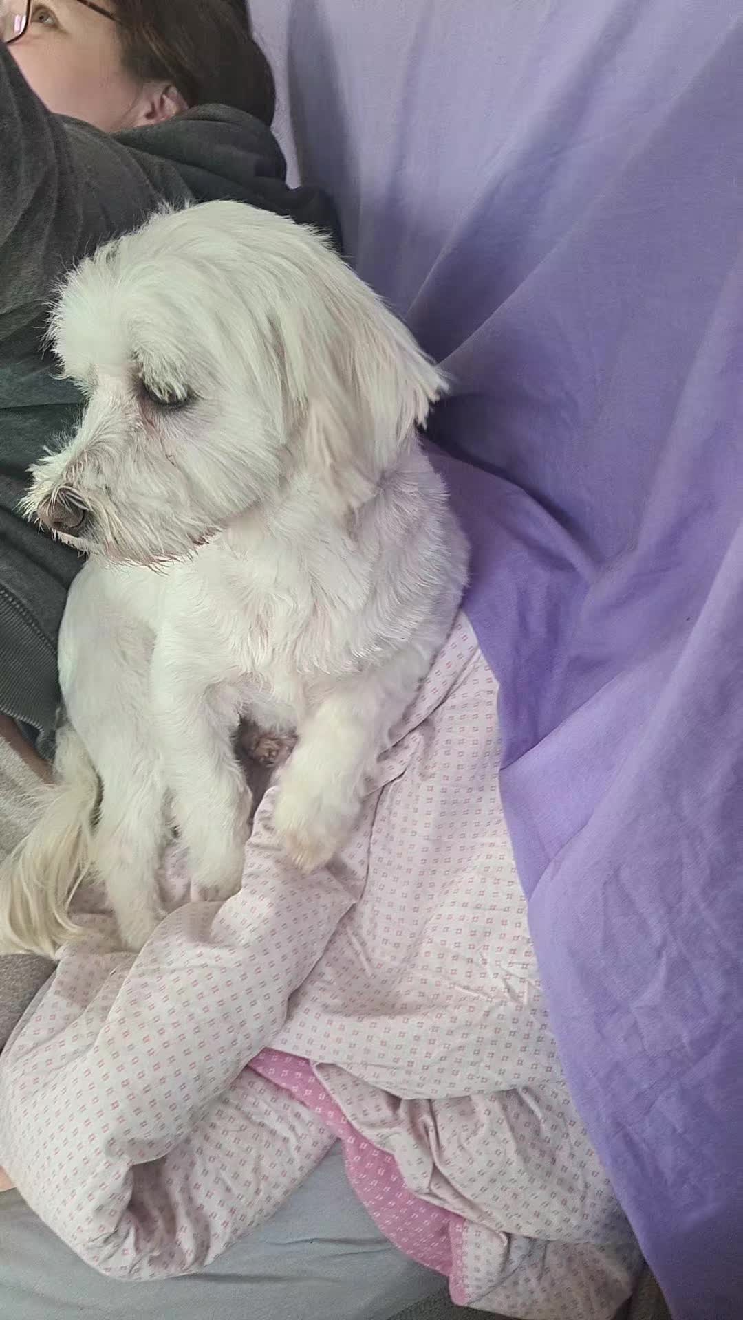 @Salvează o inimă