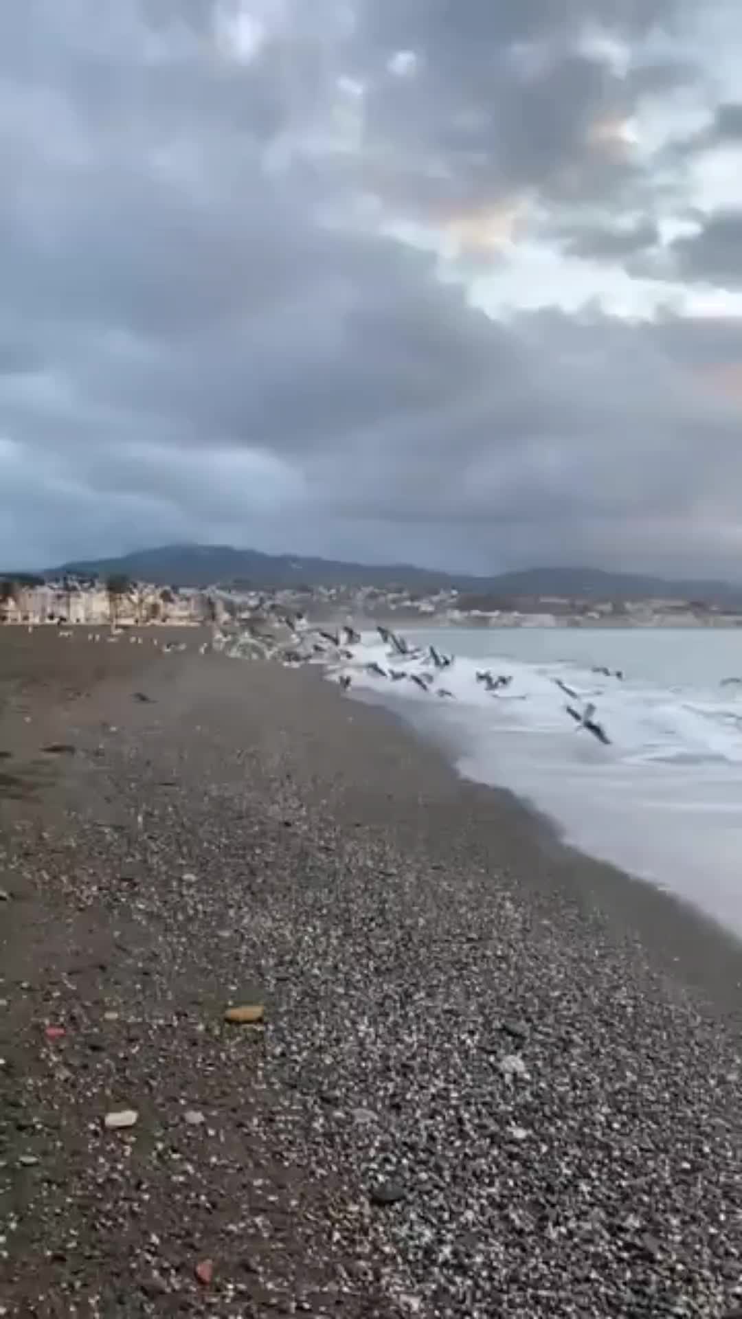 @Surcando Palabras