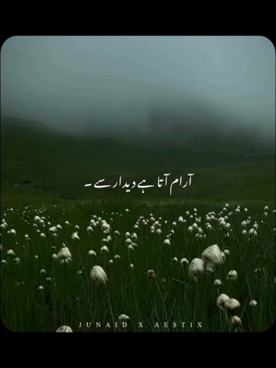 @𝙅𝙐𝙉𝘼𝙄𝘿 𝙓 𝘼𝙀𝙎𝙏𝙄𝙓