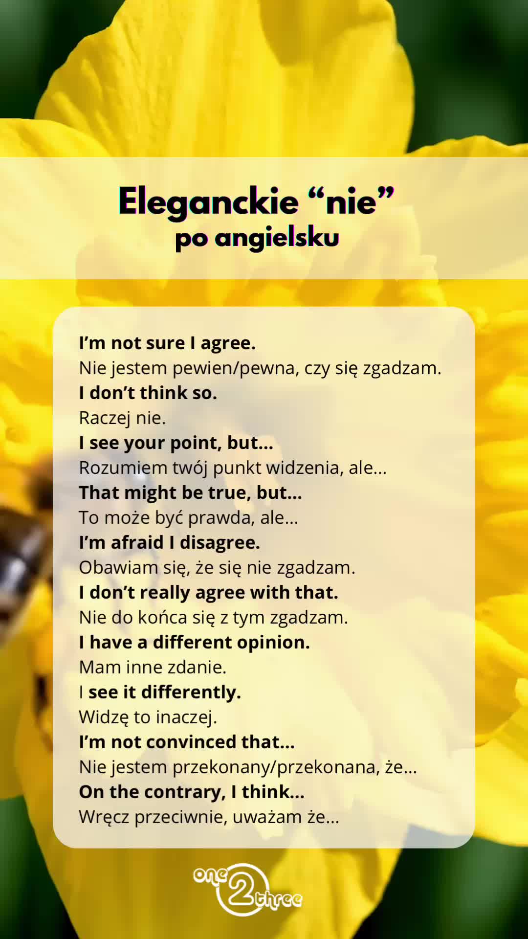 @Angielski z Kamilą 🇬🇧