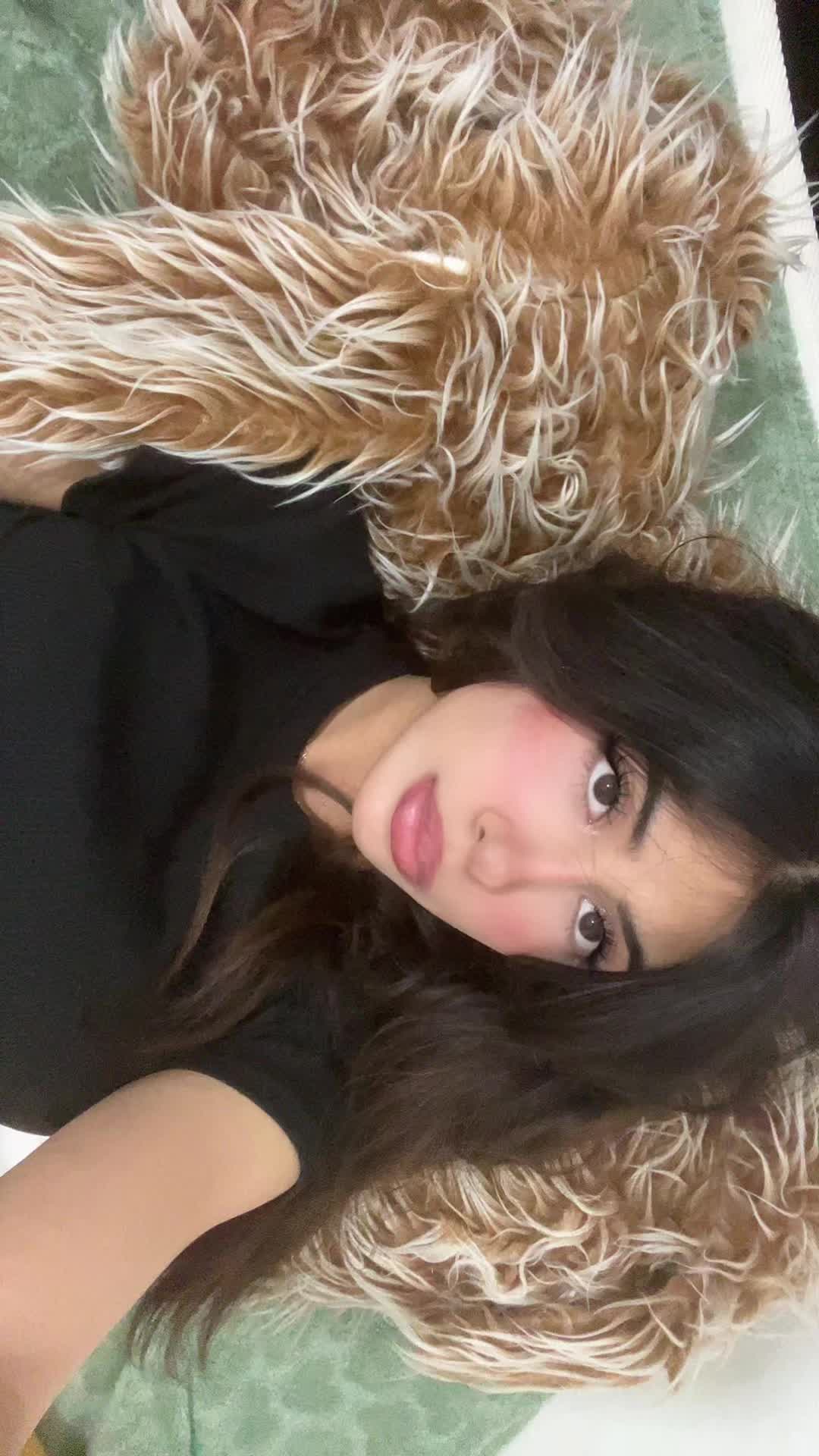 @aylar