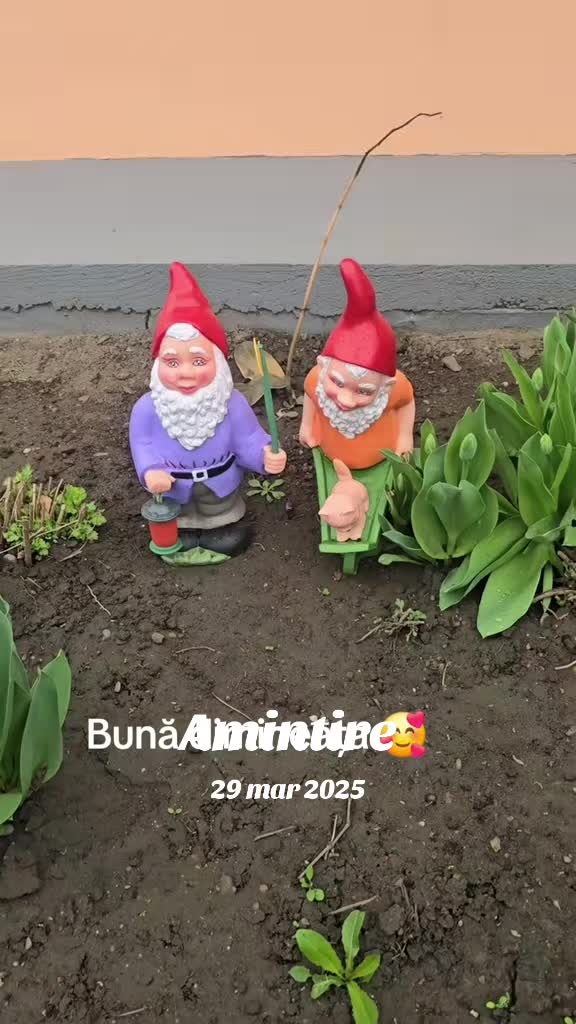 @Lenuta Lupu