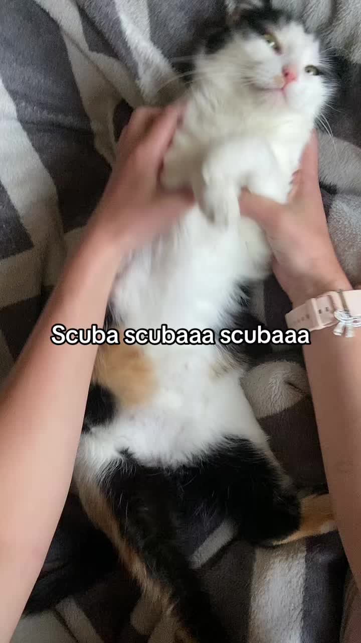 @janotova.n