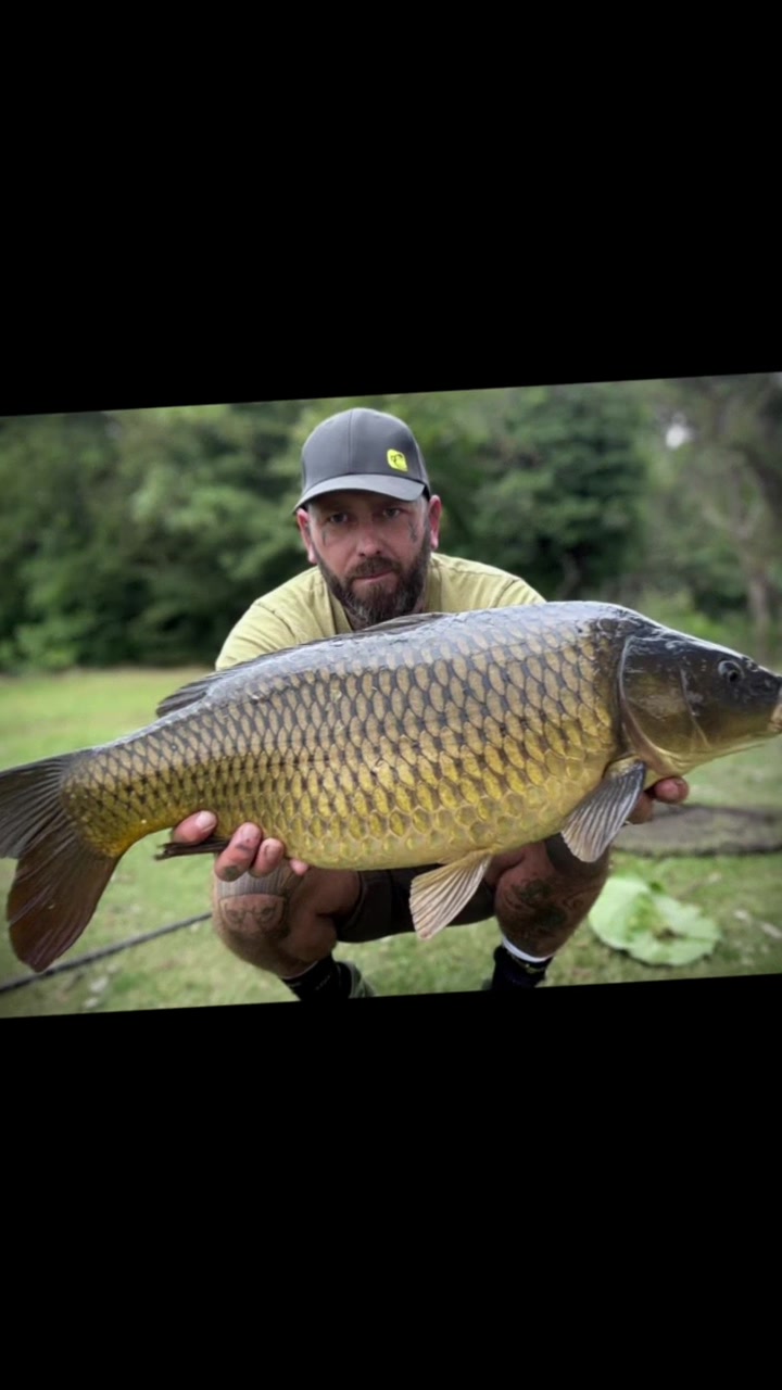 @Ian bank rat davies