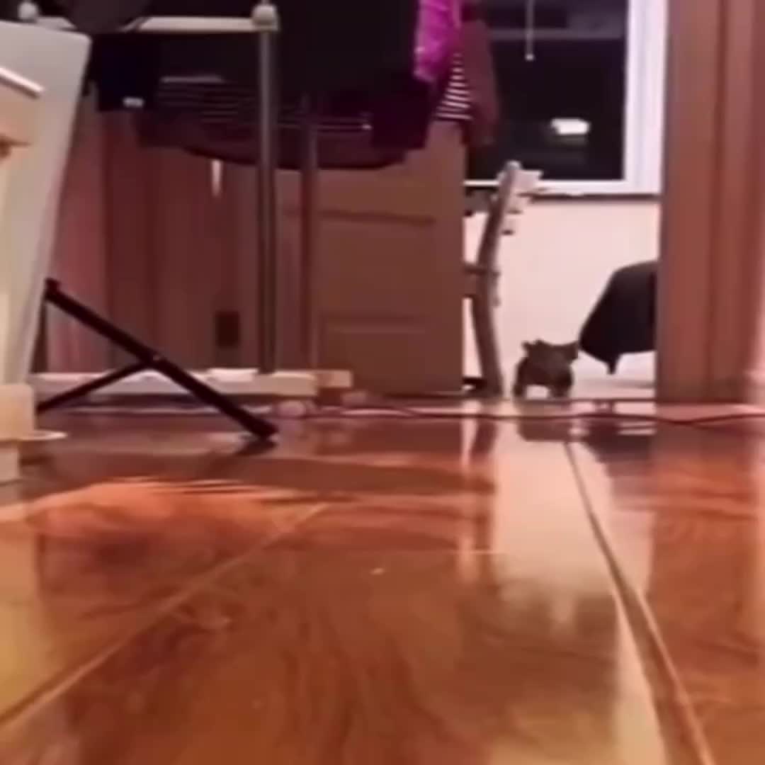 @ᴇᴍᴘᴇʀᴏʀ