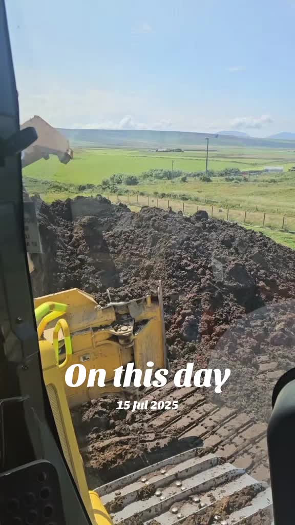 @digger king