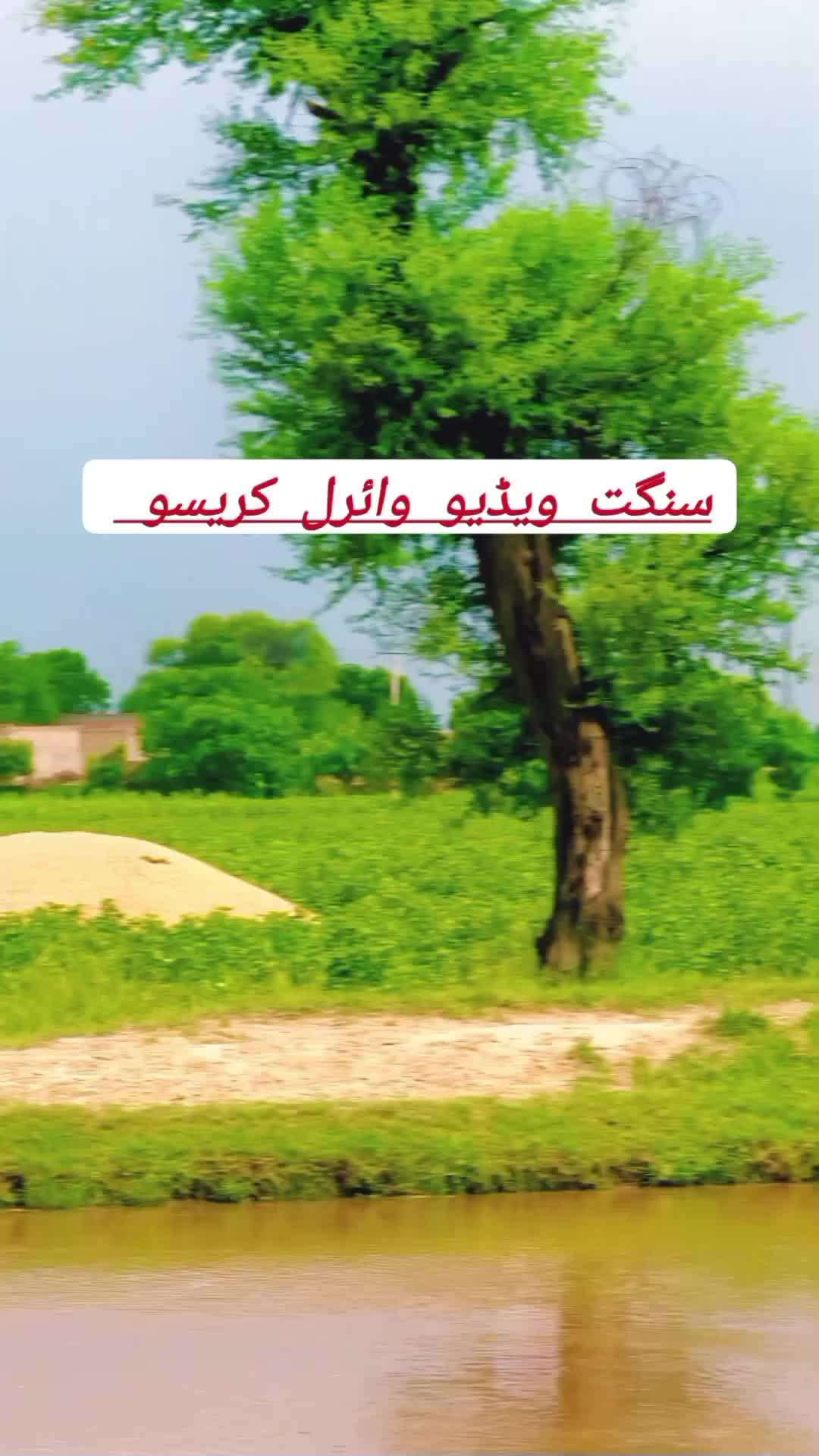 @M junaid 347