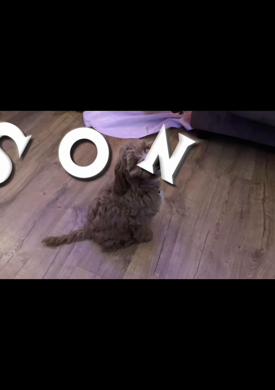 @IEDITZ