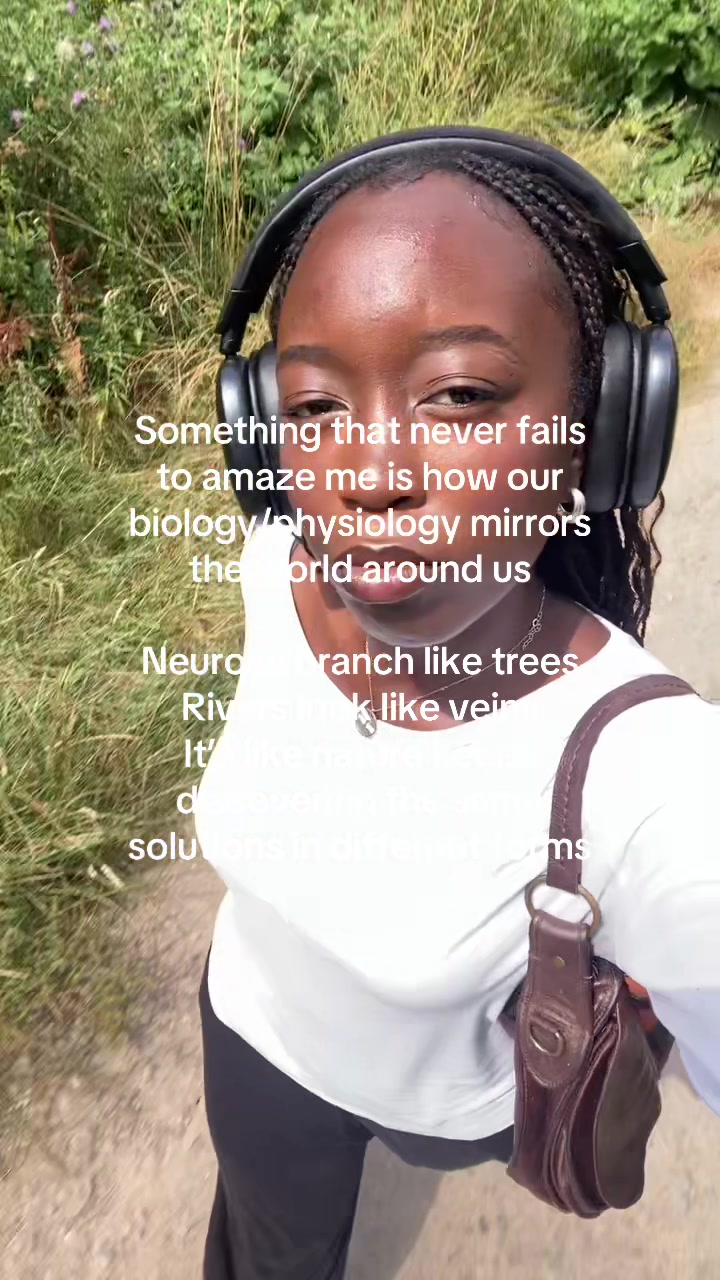 @jemofalltradesss