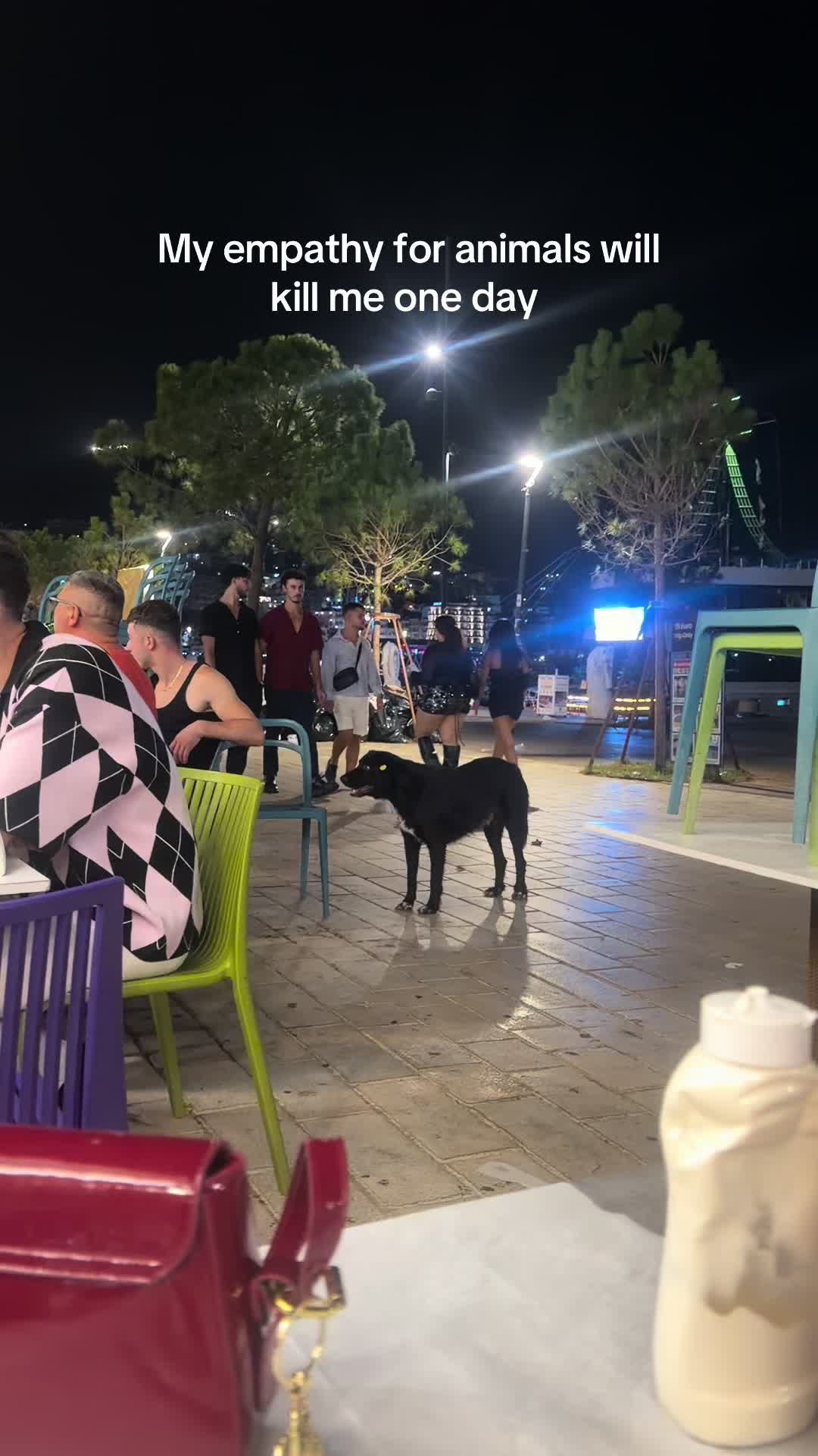 @W Paradox