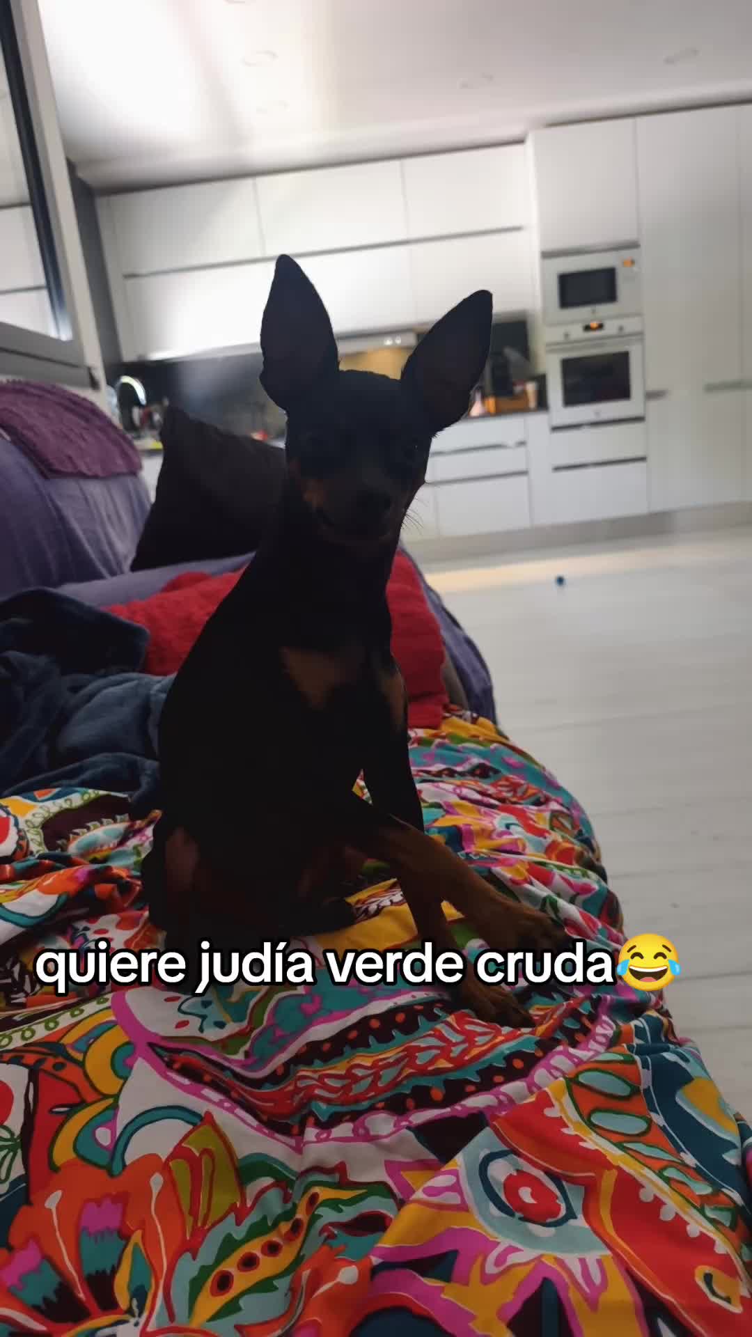 @Cuca
