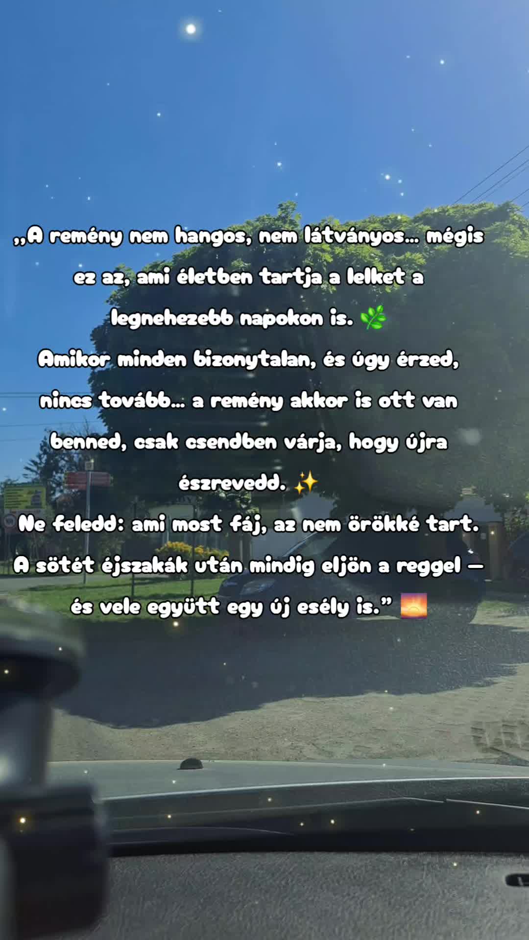@👑Picisárika👑