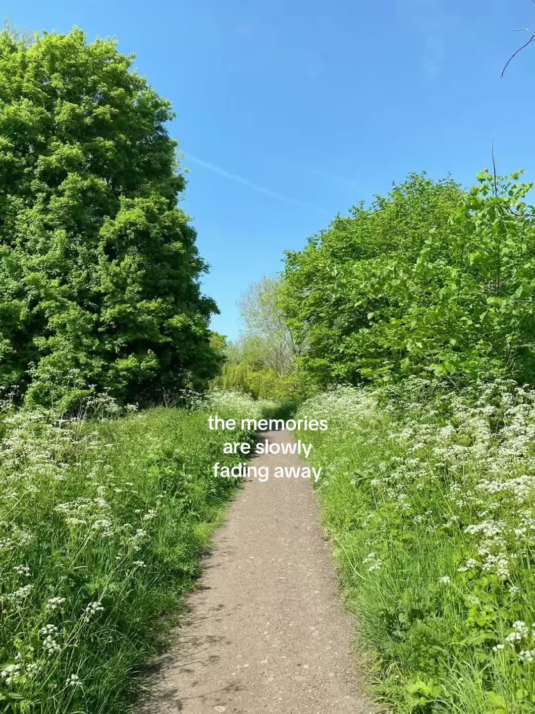 @chicvogue111