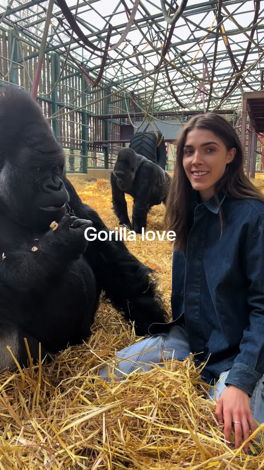 @Freya Aspinall