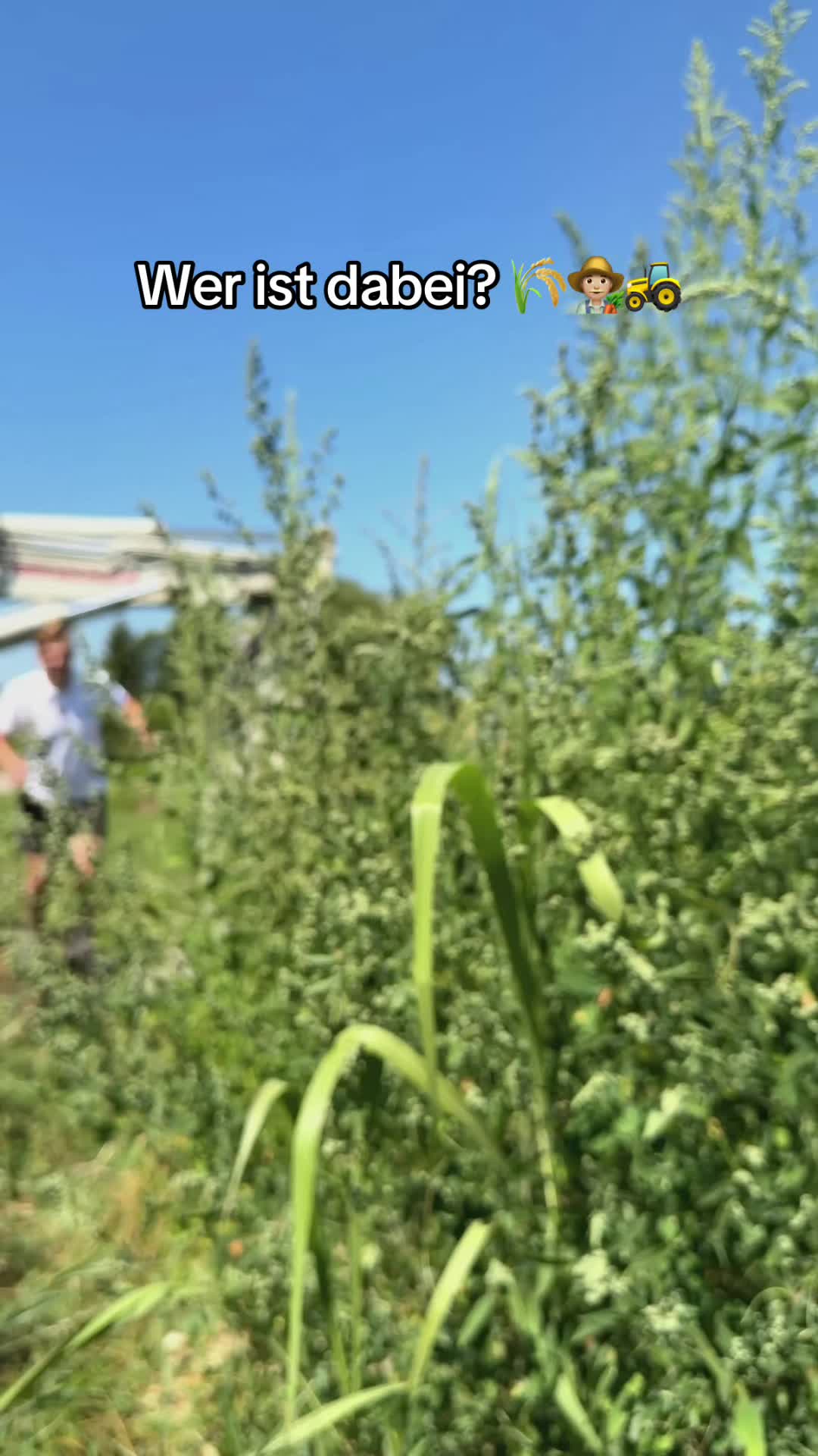 @FarmTok