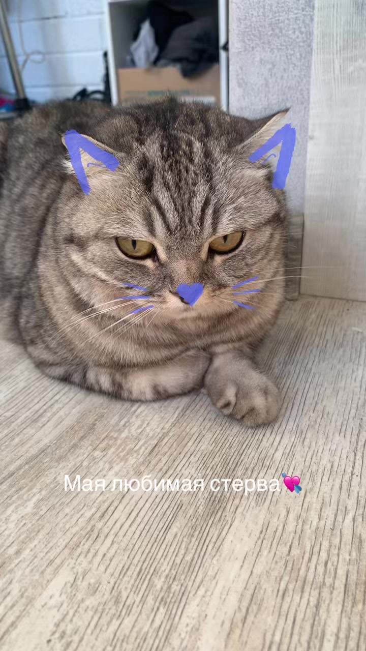 @К💋