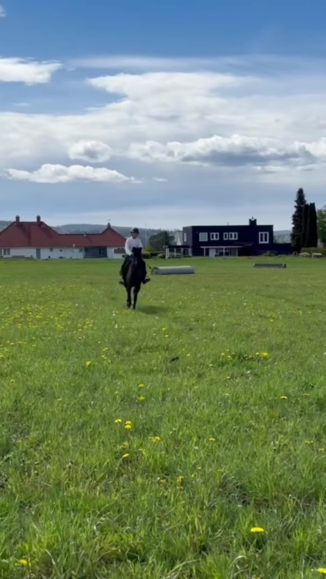 @❤️Celine og Dundie❤️