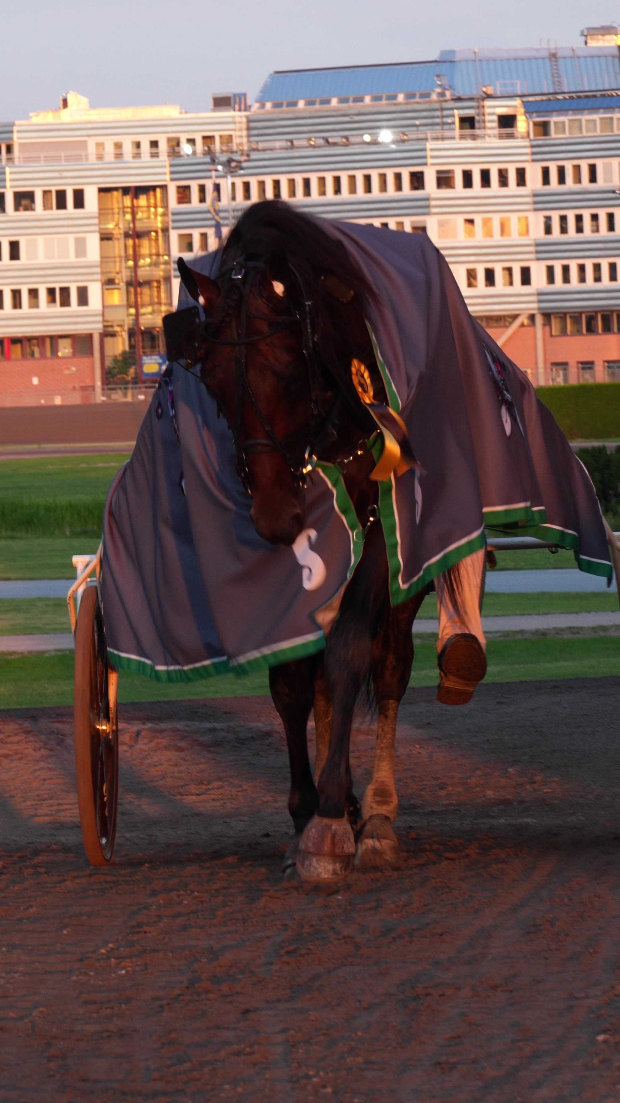 @Solvalla