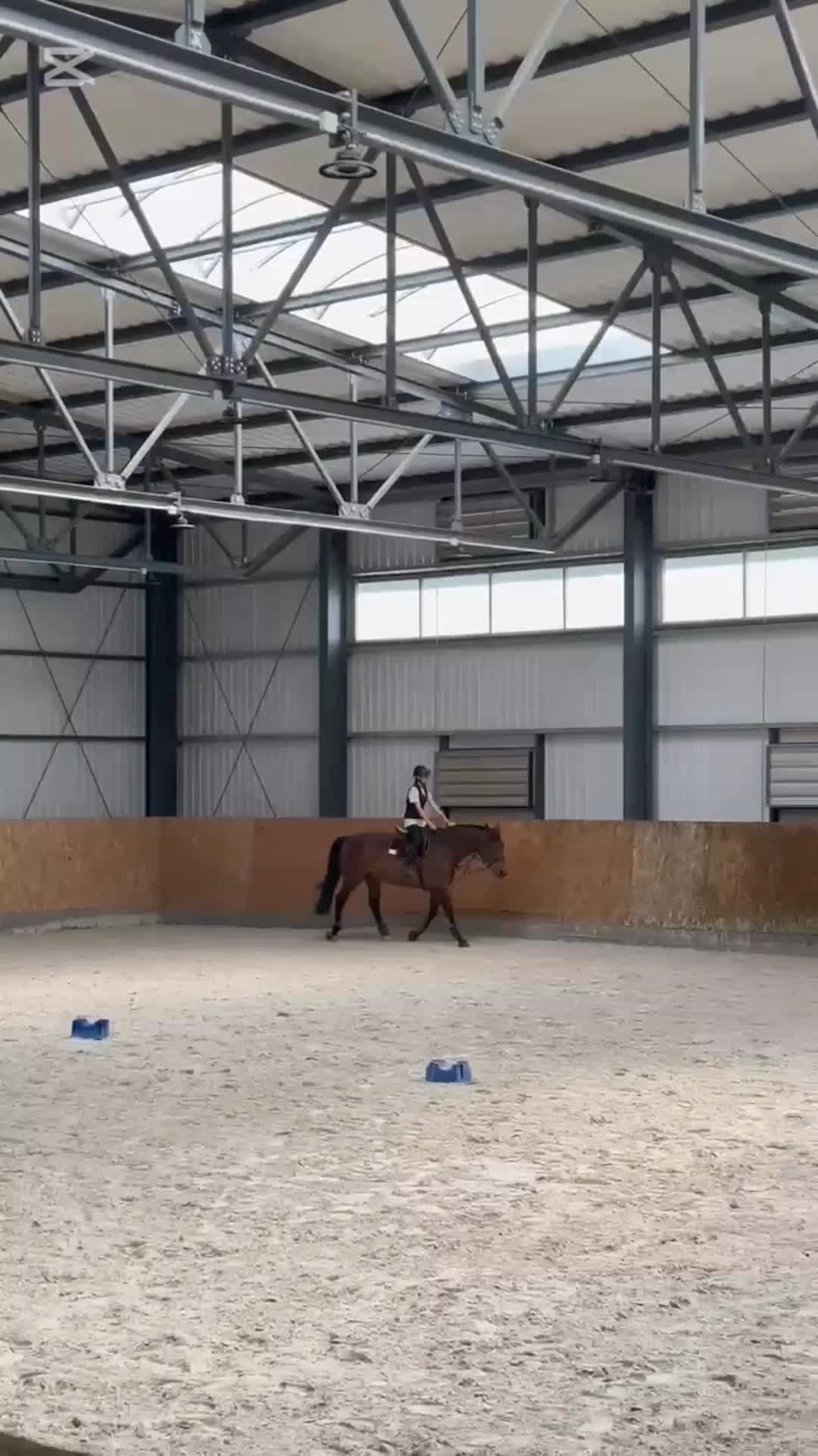 @_.luckastrapcova._