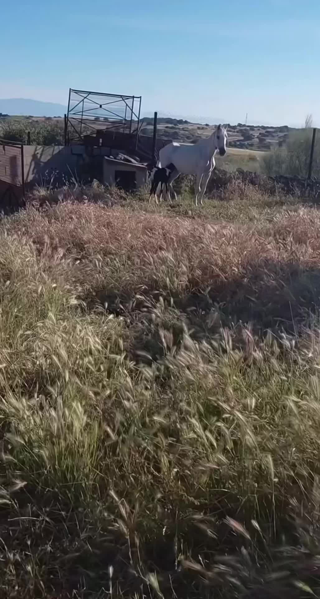@Pedroj60malaga