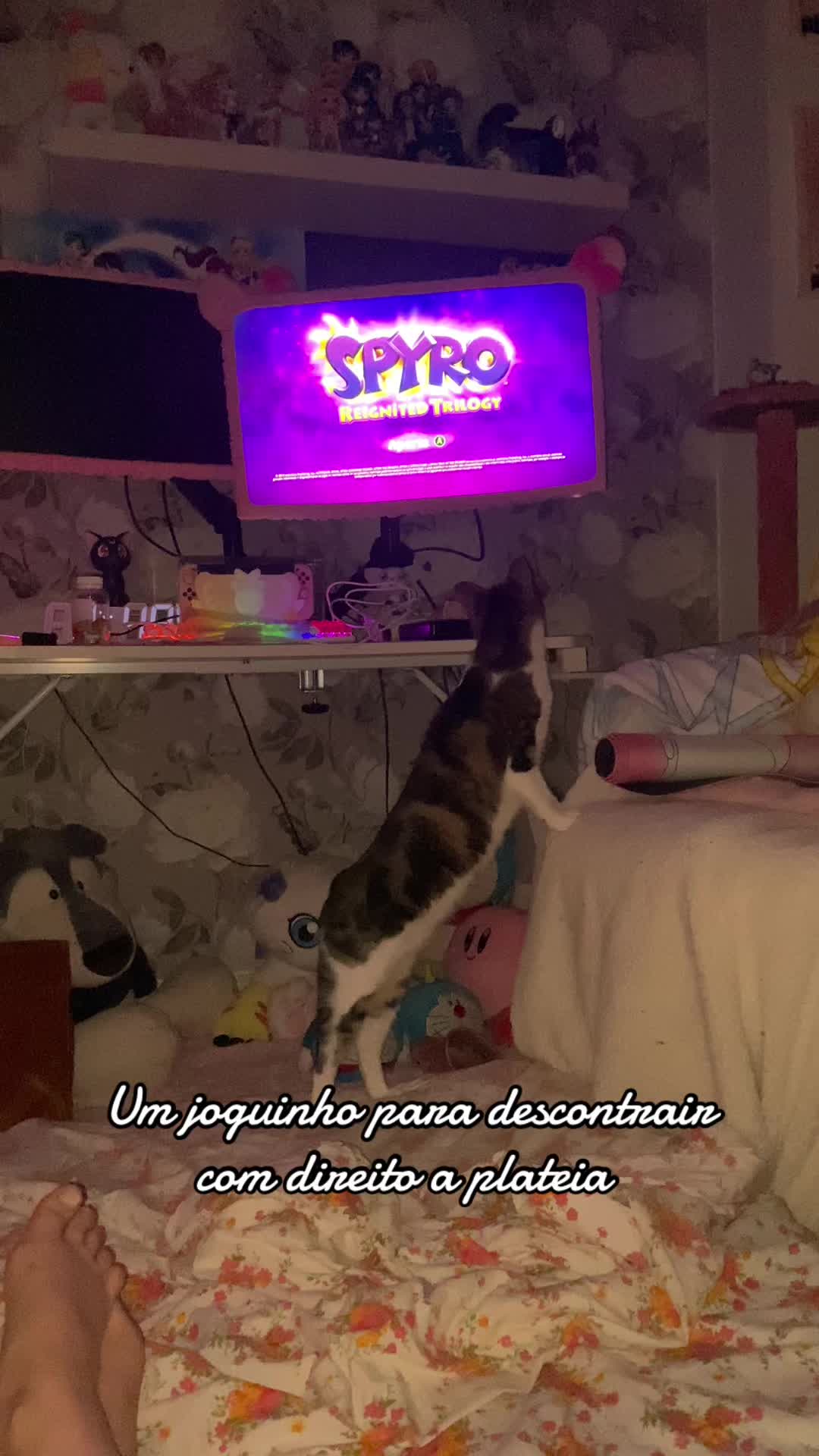 @Daniela Sofia