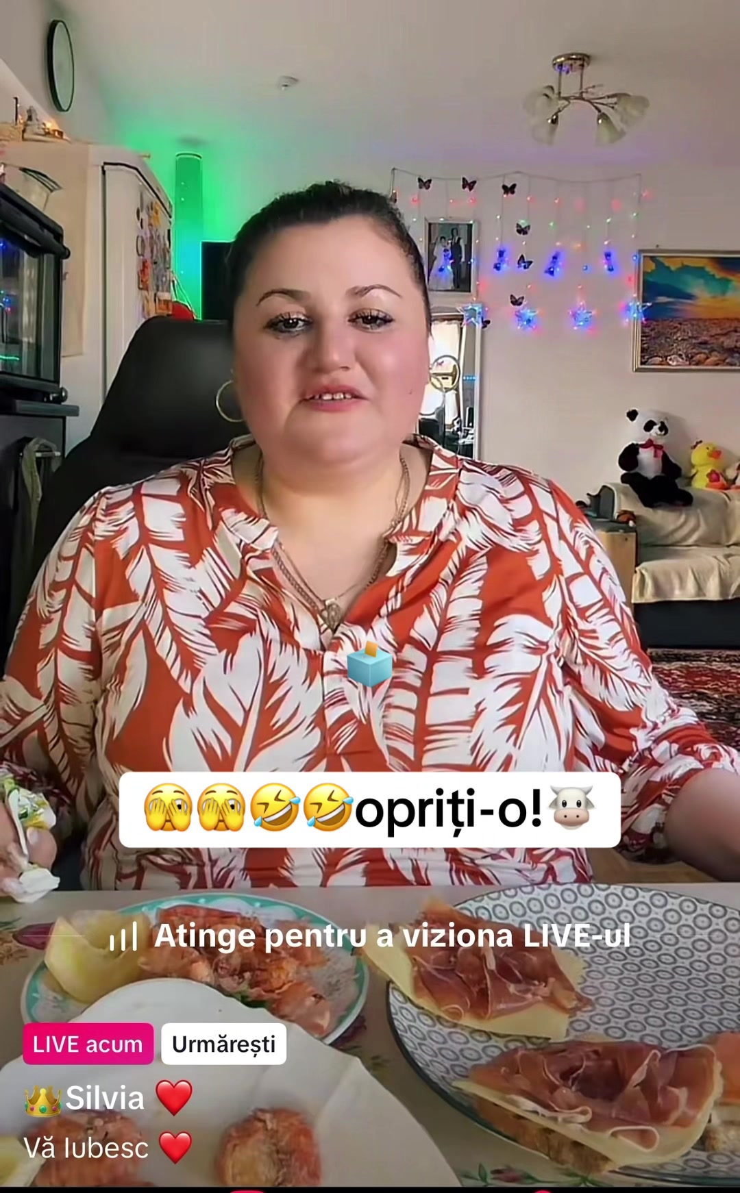 @Cutia pandorei 🗳️