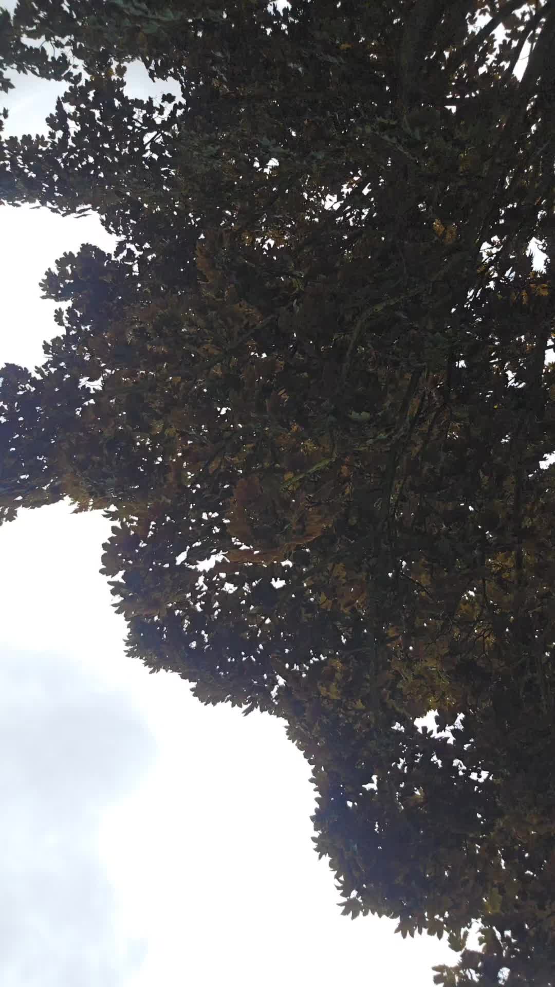 @Melbabe73 ❌️