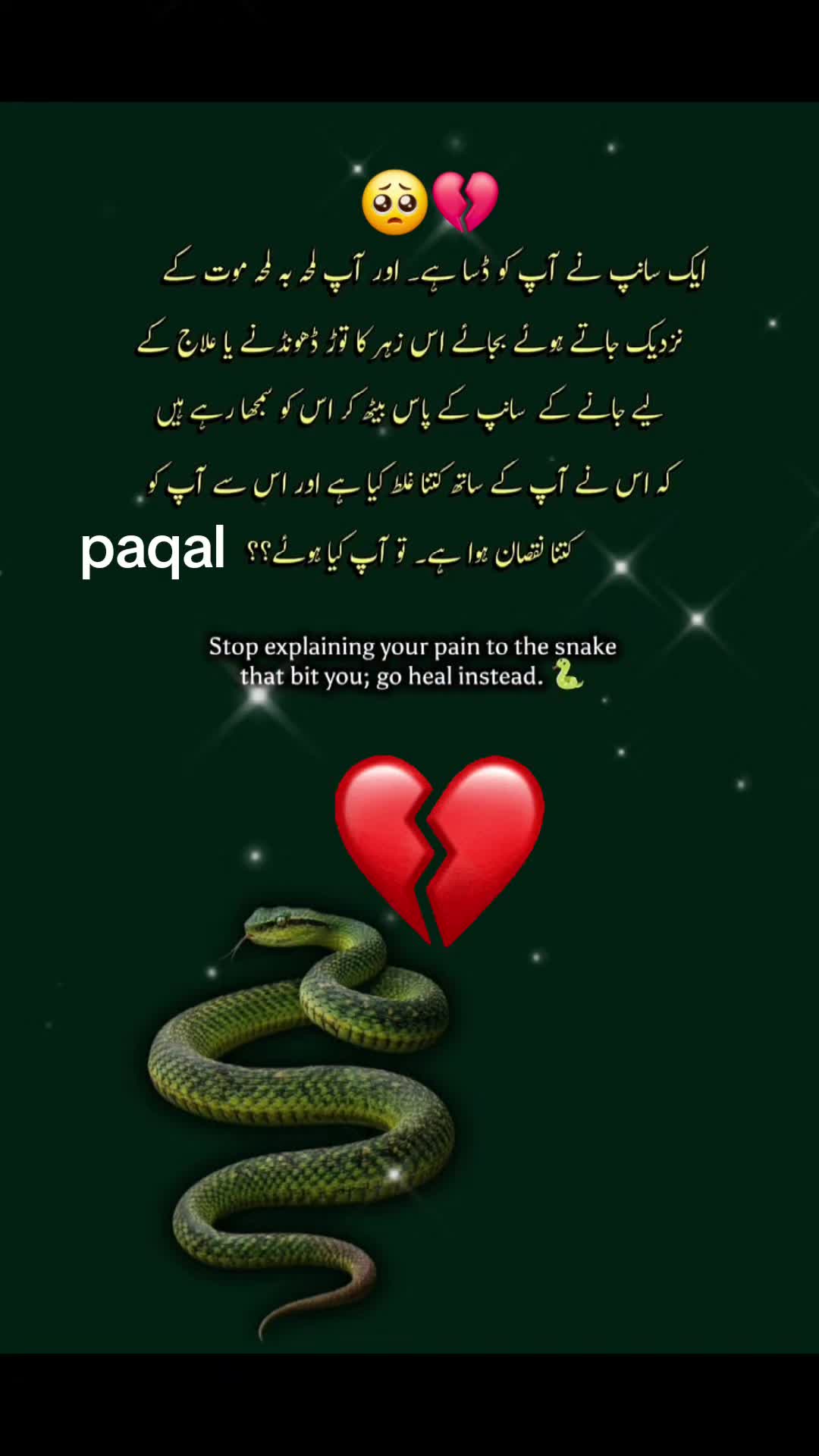 @꧁ نـشـیـلـی آنـکـھـیـں ꧂: