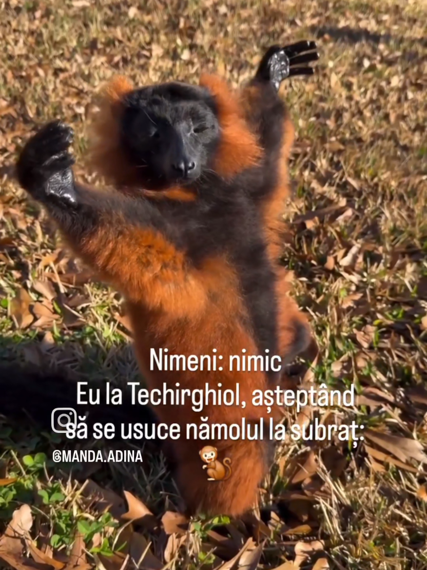 @Adina Manda