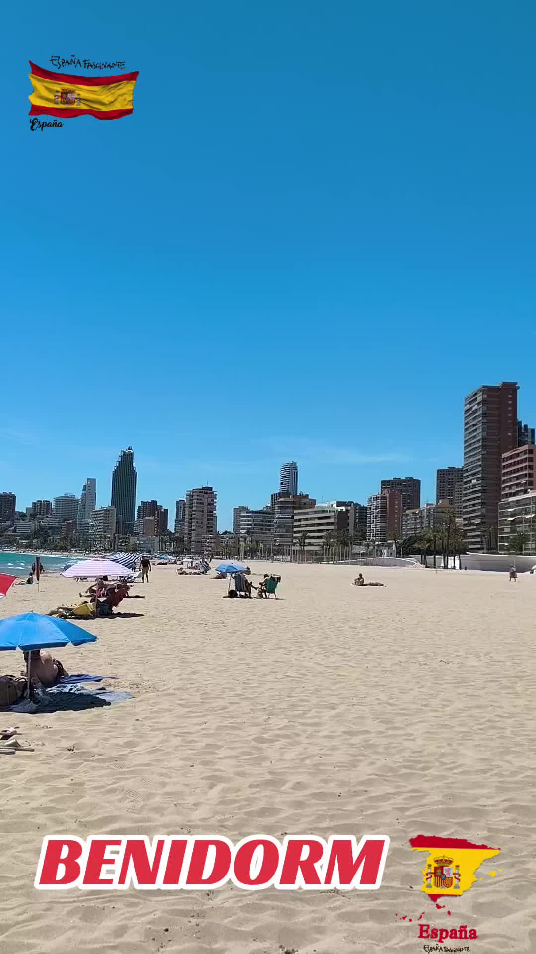 @alejandro
