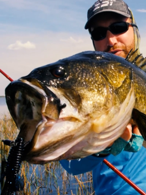 @Fishing TV